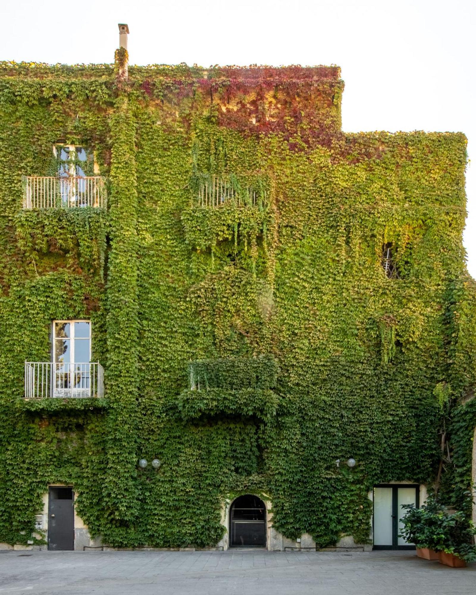 Palazzo De Gregorio Apartments 巴勒莫 外观 照片